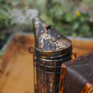 Apicultura en Navia de Suarna