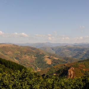 Paisaje ToxalRiba